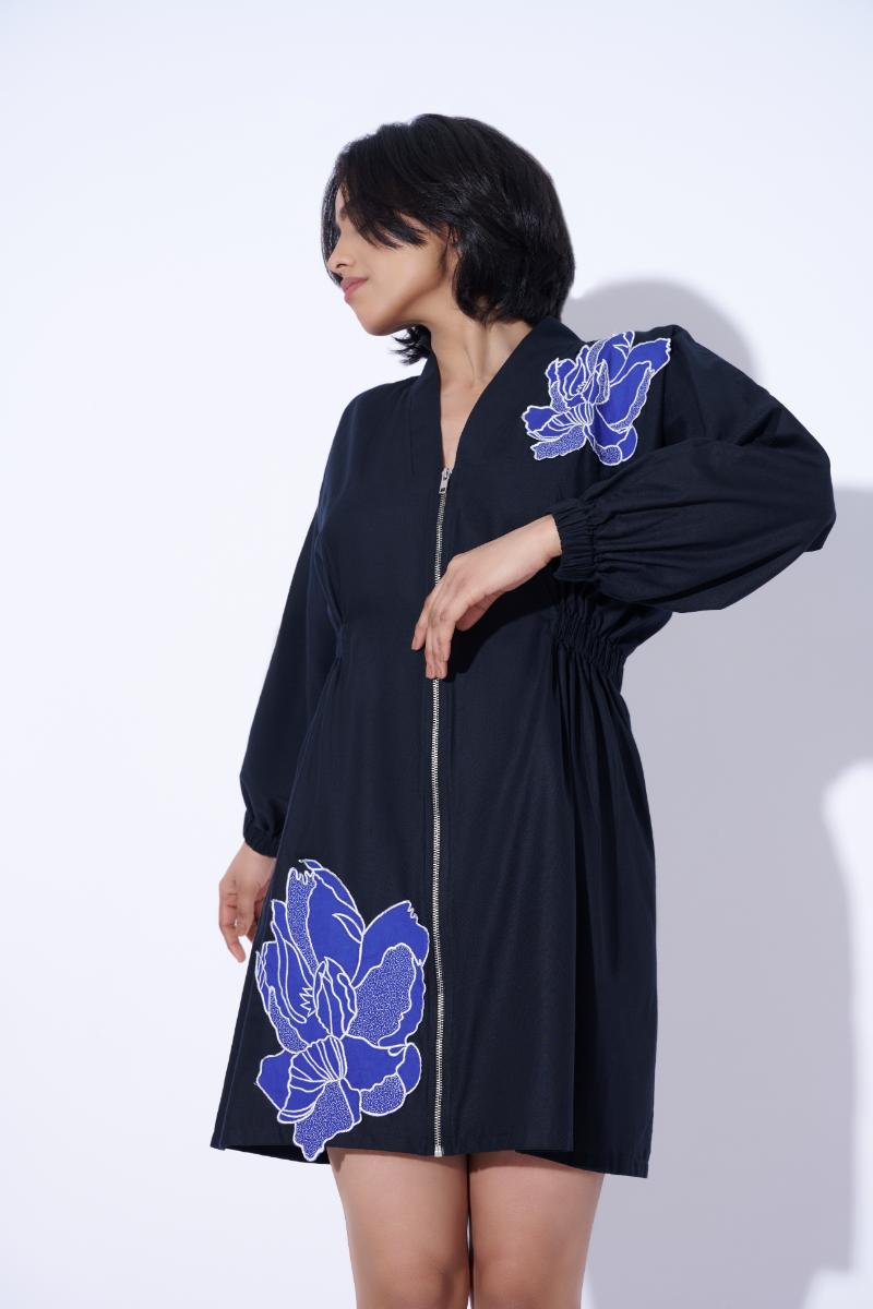 Gigi Applique Embroidered dress